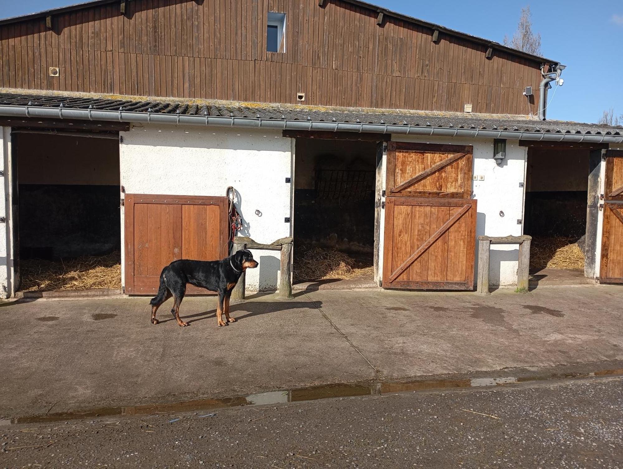 Le Gite Du Galou Sully  Exterior photo